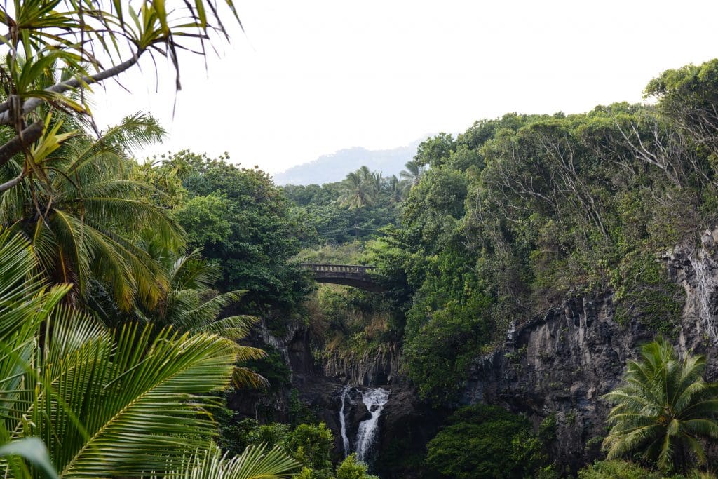guide to the Road to Hana