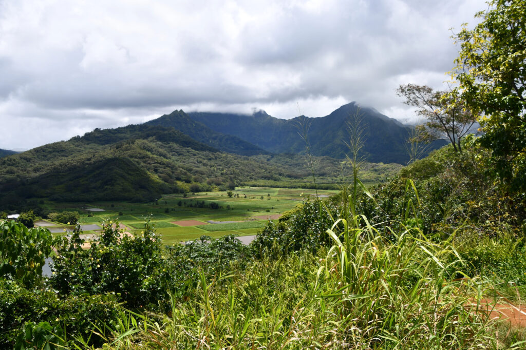 best things to do in Hanalei