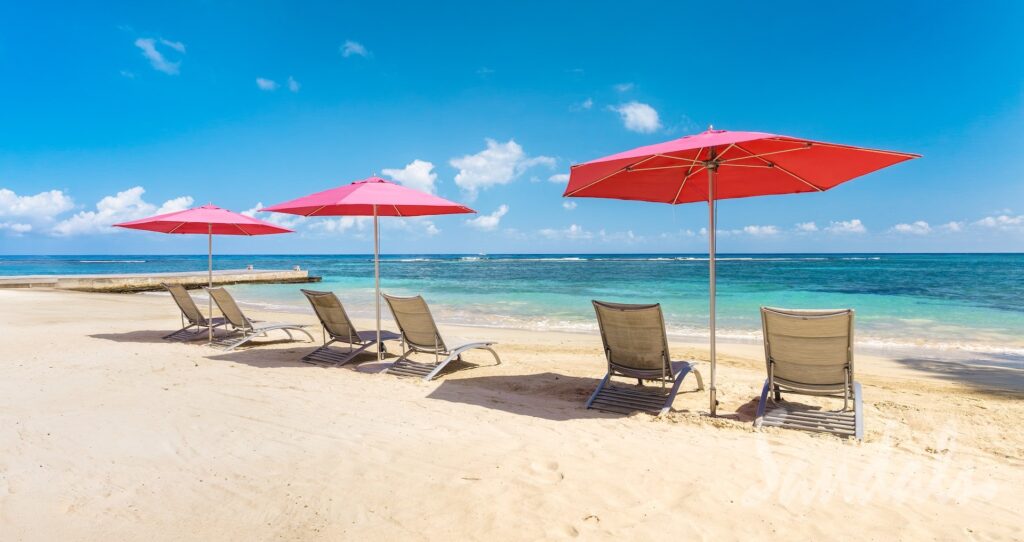 Sandals Royal Plantation With over 18 years of experience in the wedding industry, including more than 10 years as a wedding photographer, Amy has the expertise to handle all the details so you don’t have to. She loves helping couples bring their dream honeymoons, destination weddings, or anniversary vacations to life. Contact Amy to start planning your perfect getaway.