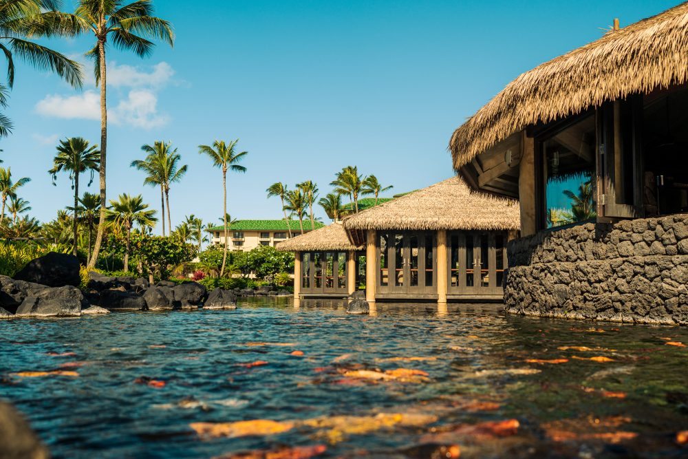 Grand Hyatt Kauai Review