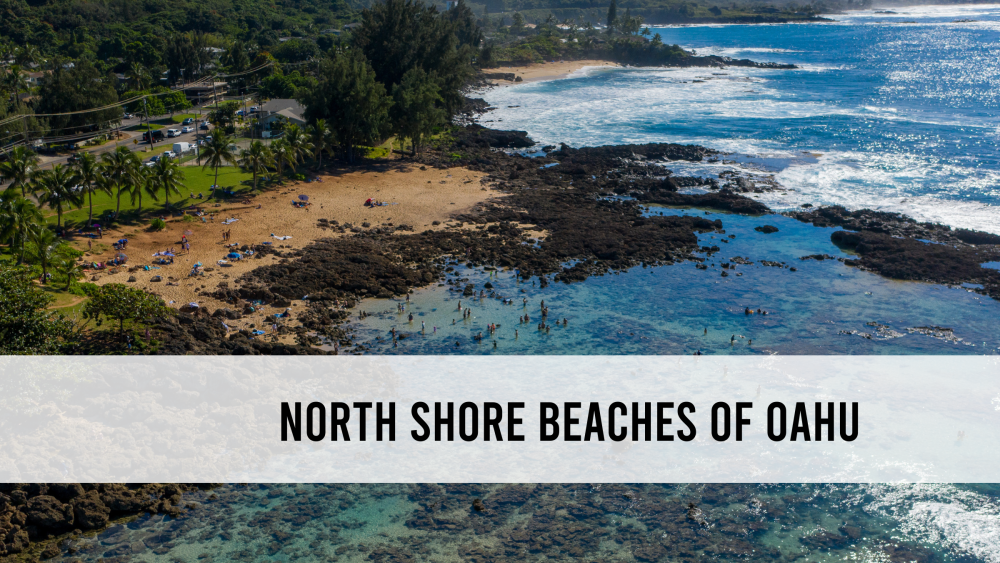 NORTH SHORE BEACHES OAHU REDDIT visual data 8
