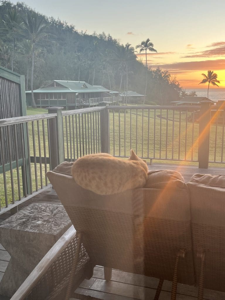 is it worth it to stay in Hana?