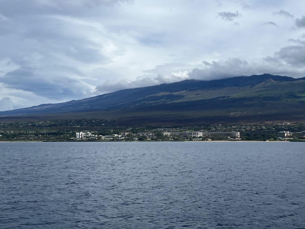best Molokini Crater Snorkeling Tours