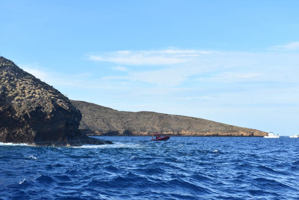 best Molokini Crater Snorkeling Tours