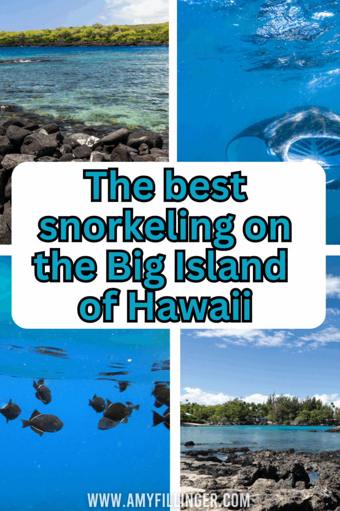best snorkeling on the Big Island of Hawaii
