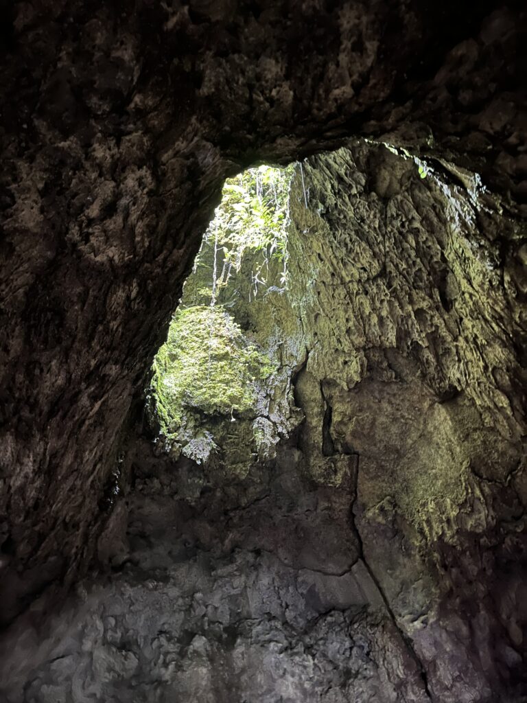 Hana Lava Tube