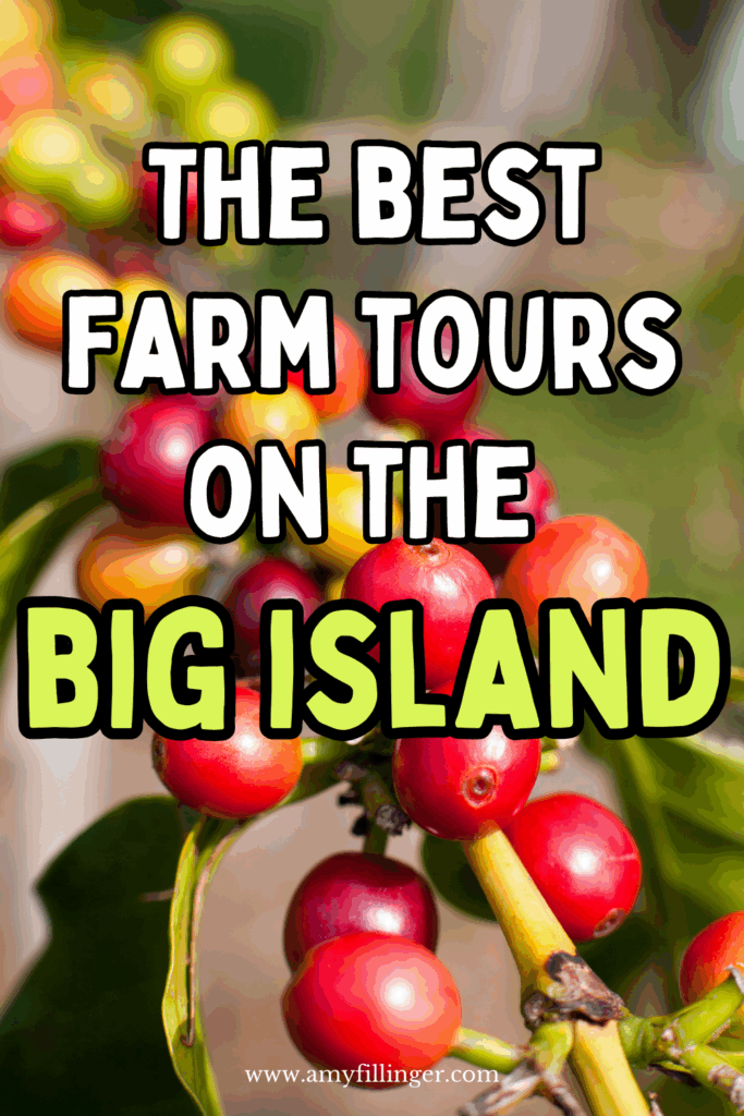 best farm tours on the Big Island