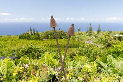 best farm tours on the Big Island