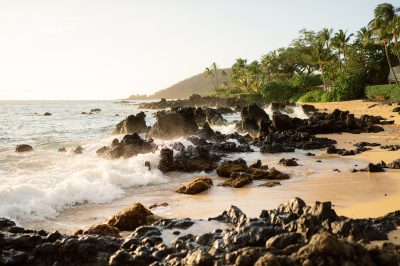 Hawaii Travel Agent