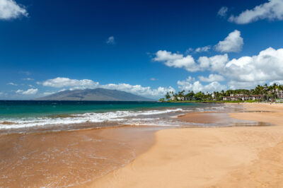 Maui vs. Big Island